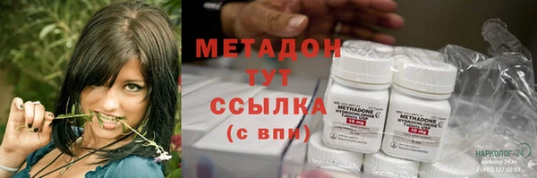 стафф Арсеньев