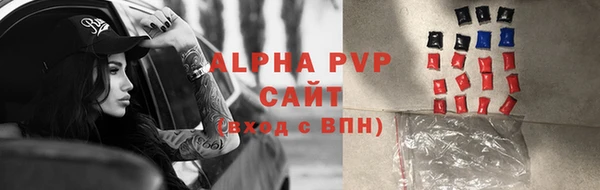 стафф Арсеньев