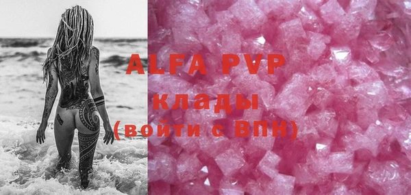 стафф Арсеньев