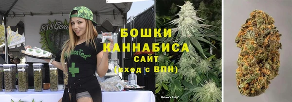 стафф Арсеньев