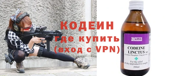 шишки Балахна