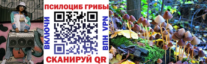 Псилоцибиновые грибы Psilocybe  Среднеколымск 